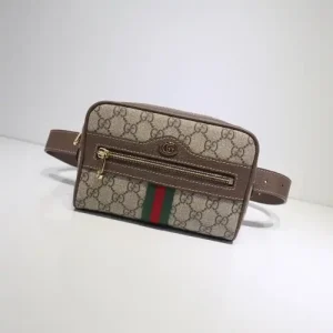 Gucci GG  Ophidia Belt Bag