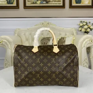 Louis Vuitton Speedy Brown