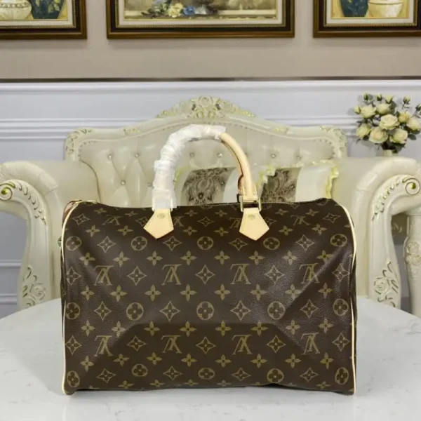 Louis Vuitton Speedy Brown