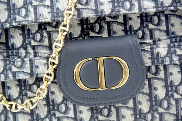 Dior Double Bag Oblique - Image 3