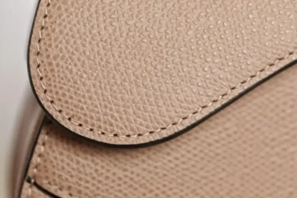Dior Saddle Bag Small Nude - Image 6