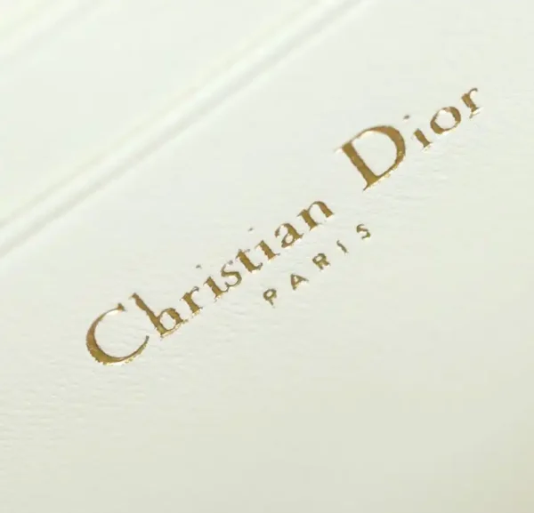 Dior Caro Box Bag White - Image 9