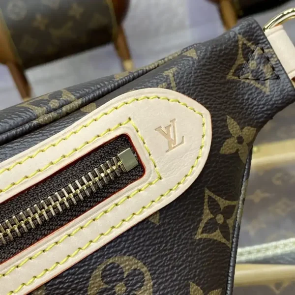 Louis Vuitton Bumbag Waist Brown - Image 8