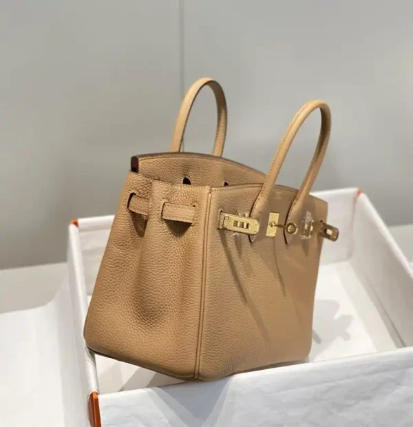 Hermes Birkin Milk Tea - Image 2