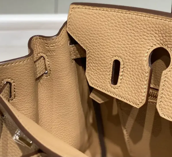 Hermes Birkin Milk Tea - Image 3