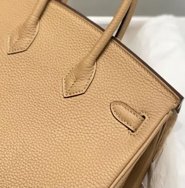 Hermes Birkin Milk Tea - Image 4