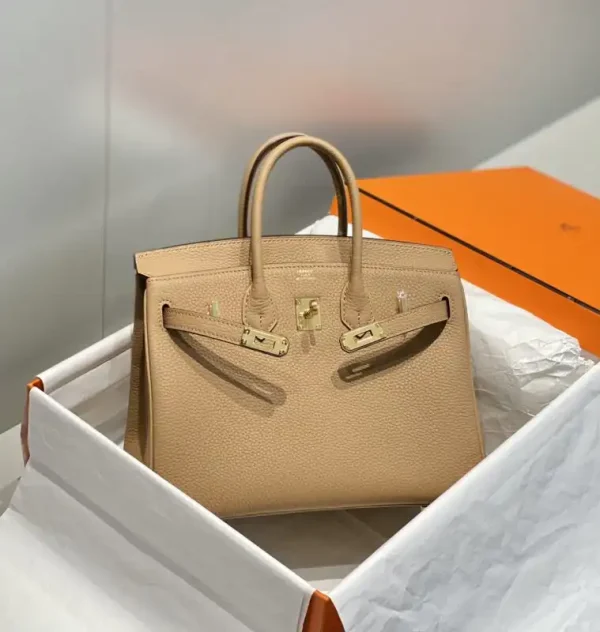 Hermes Birkin Milk Tea - Image 6