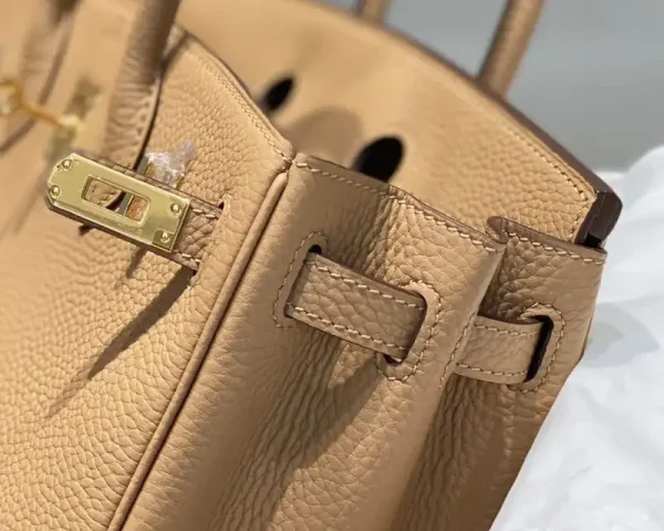 Hermes Birkin Milk Tea - Image 8
