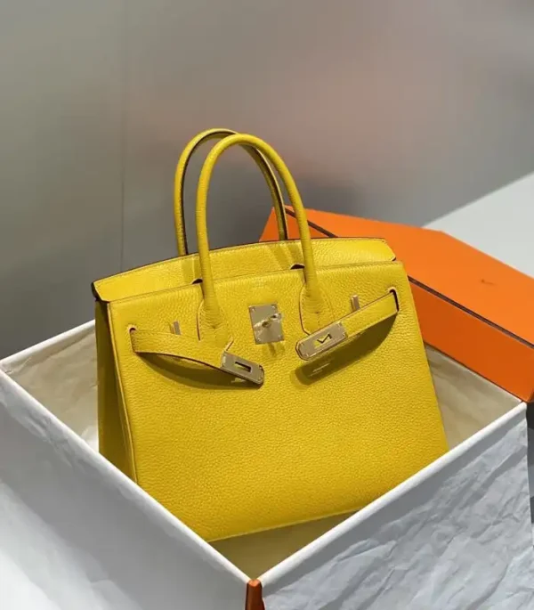 Hermes Birkin Amber Yellow - Image 3
