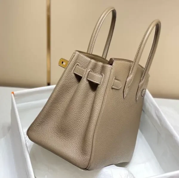 Hermes Birkin Elephant Gold - Image 4