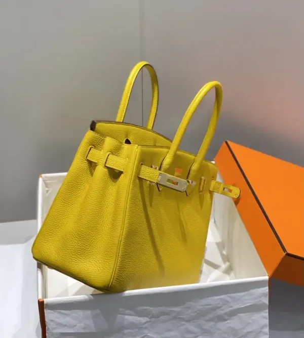 Hermes Birkin Amber Yellow - Image 5