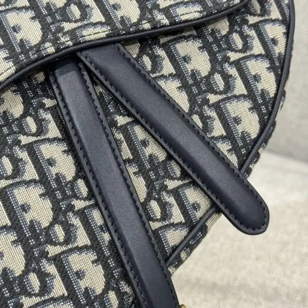 Dior Saddle Bag Small CD Canvas - Image 6