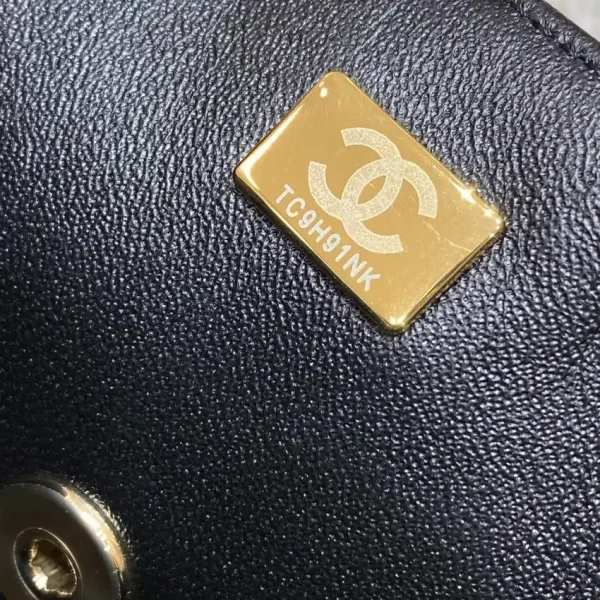 CHANEL Classic Flap 20cm Lion - Image 6