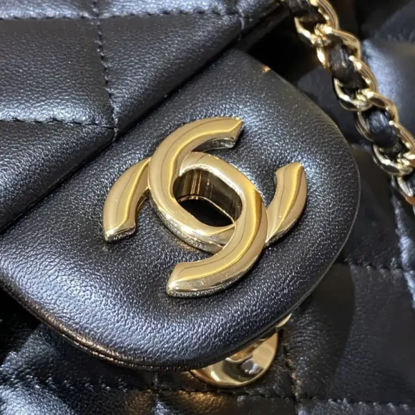 CHANEL CF 20 cm Lion Black - Image 5