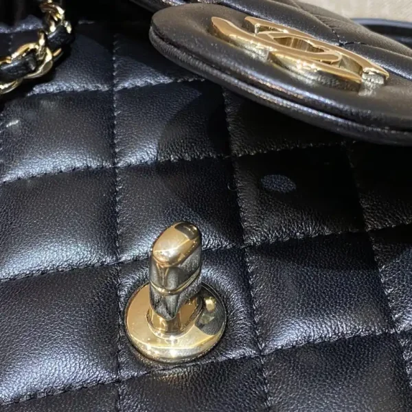 CHANEL Classic Flap 20cm Lion - Image 10