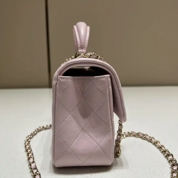 CHANEL CF 20 cm Lion Pink - Image 2
