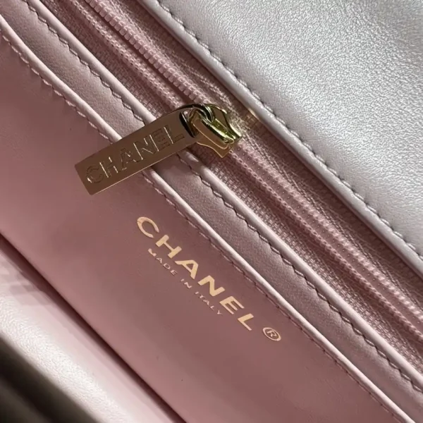 CHANEL CF 20 cm Lion Pink - Image 3