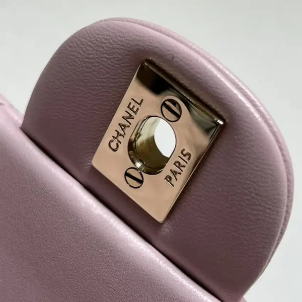 CHANEL CF 20 cm Lion Pink - Image 4