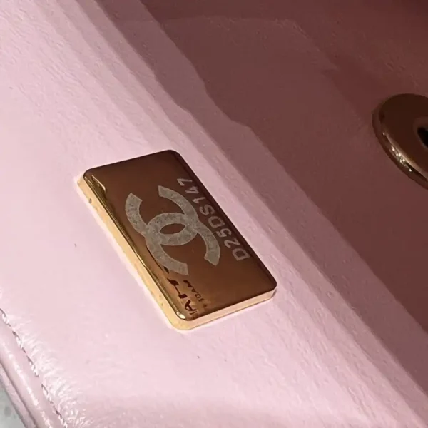 CHANEL CF 20 cm Lion Pink - Image 8
