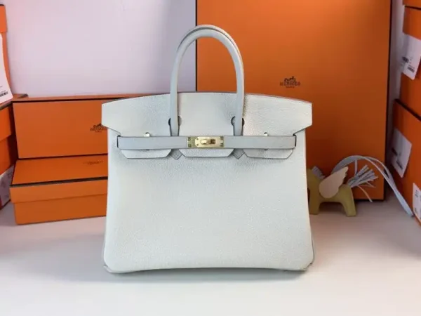 Hermes Birkin Milkshake White