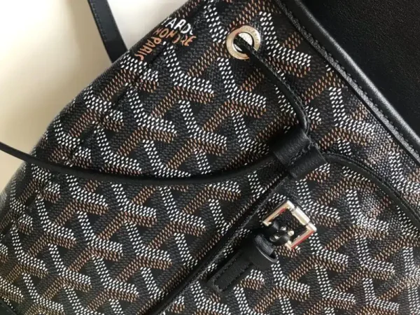 Goyard Alpi Mini Backpack Black - Image 5