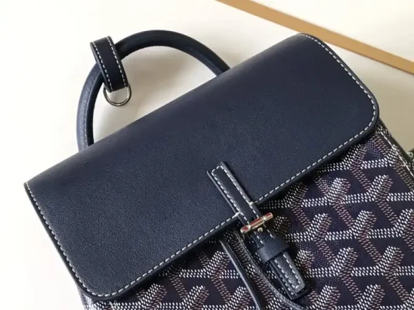 Goyard Alpi Mini Backpack Dark Blue - Image 5