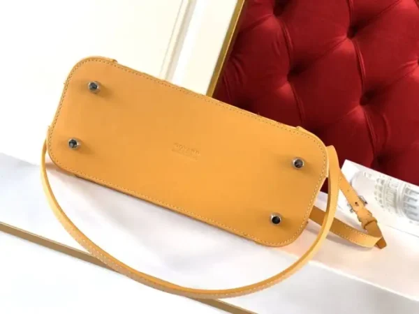 Goyard Vendom Yellow - Image 5