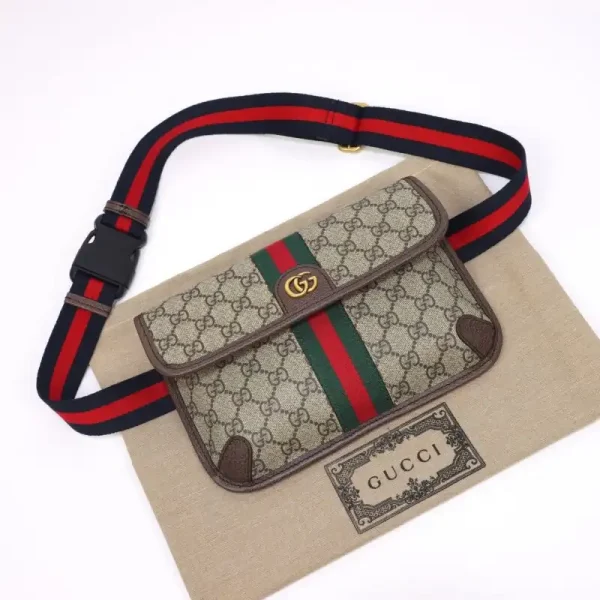 Gucci Ophidia  GG Small Waist Web - Image 5
