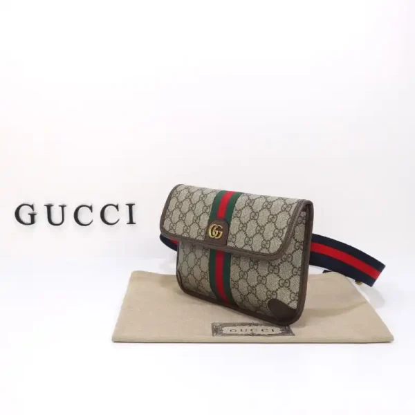 Gucci Ophidia  GG Small Waist Web - Image 8