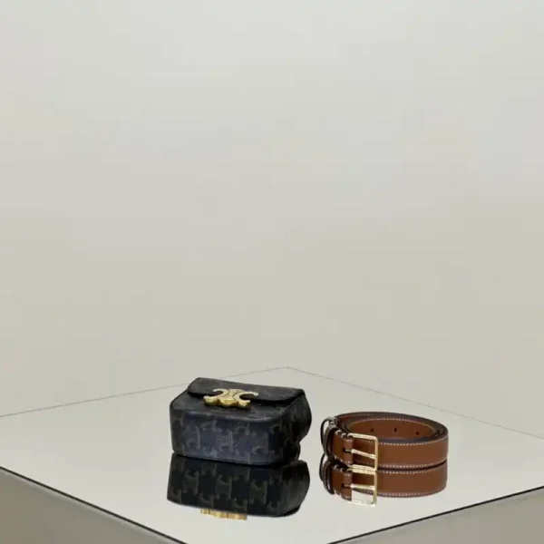 Celine Triomphe Mini Waist Bag - Image 4