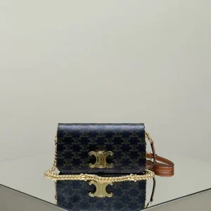 Celine Triomphe Multipochette