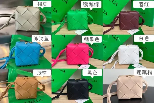 Bottega Veneta Cassette Cub All Colors