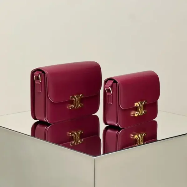 Celine Triomphe Mini Bordeaux - Image 3