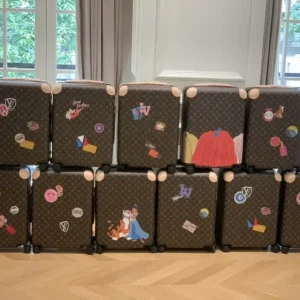 Louis Vuitton Suitcase Custom Colors