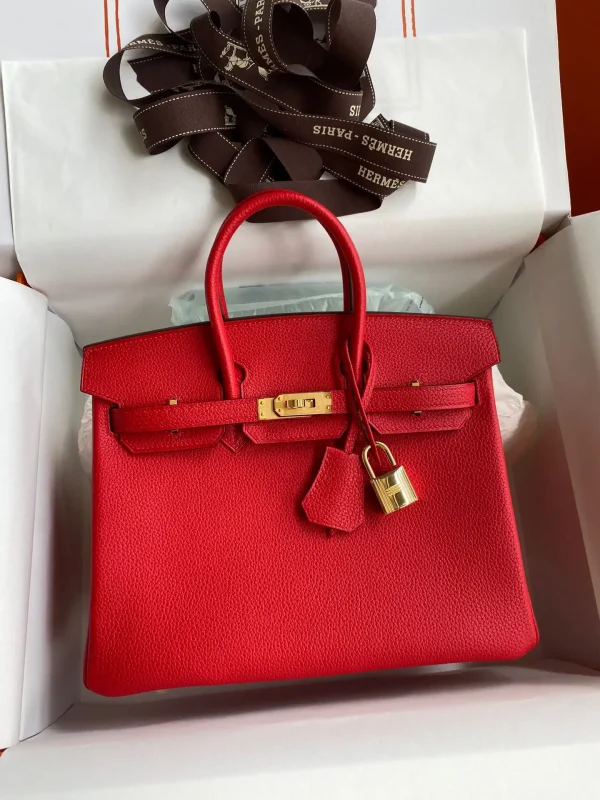 Hermes Birkin Red Togo Gold