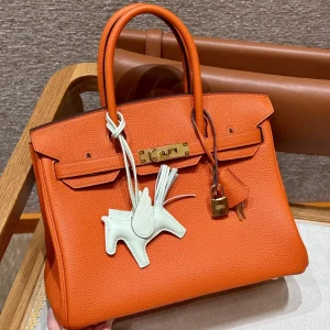 Hermes Birkin Orange Togo Gold