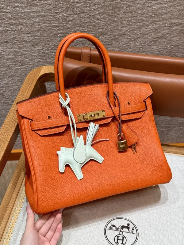 Hermes Birkin Orange Togo Gold