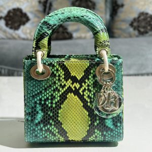 Dior Mini 17cm Python Leather