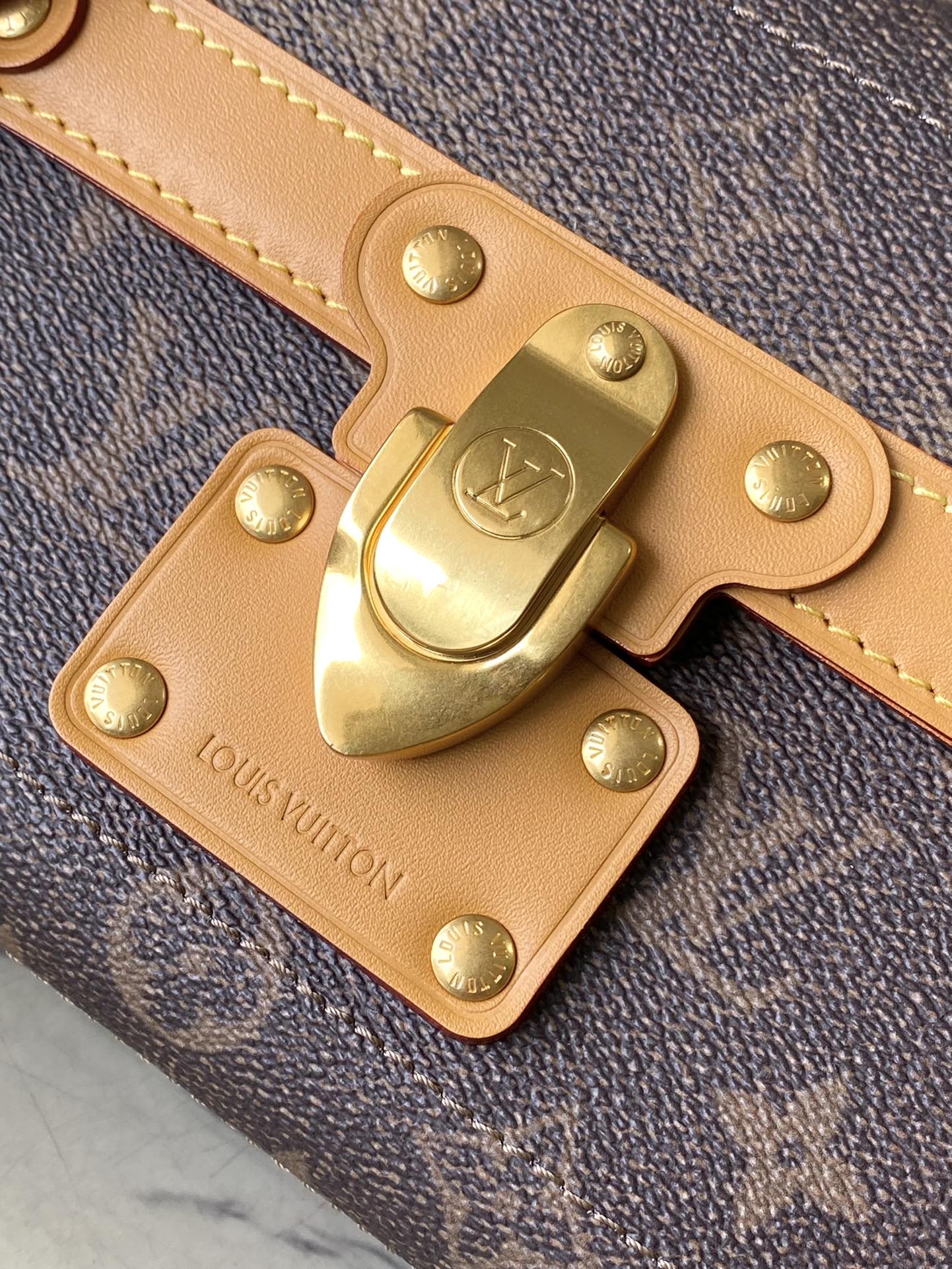 LV Soul Trunk bag with Faded Monogram Floral - Image 9