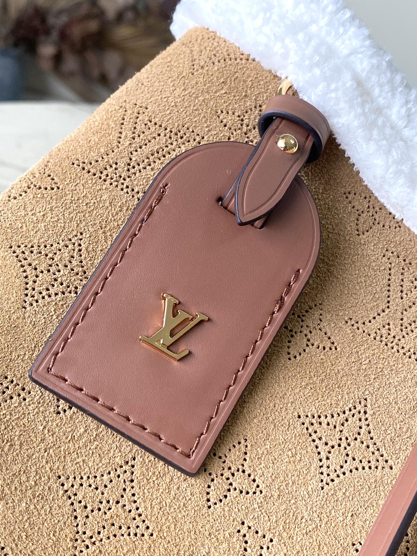 Small CarryAll bag from the LVSki collection - Image 10